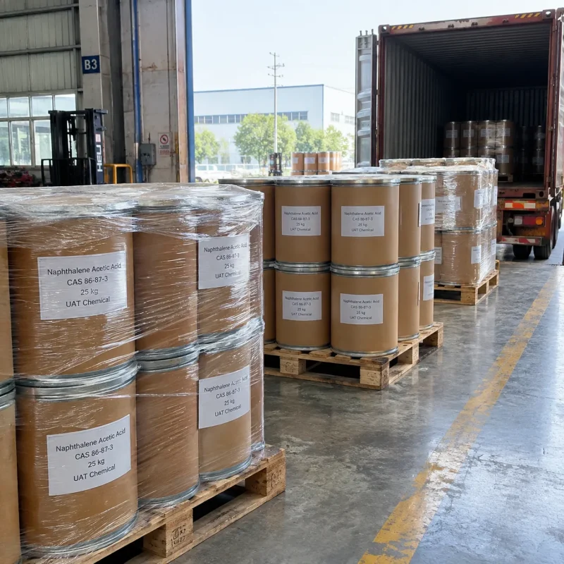 Naphthalene acetic acid (NAA, CAS 86-87-3) in 25 kg fiber drums on shrink-wrapped pallets by a shipping container
