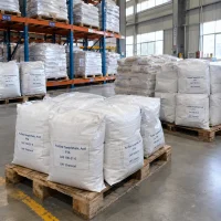 Stacked white bags of Purified Terephthalic Acid PTA CAS 100-21-0 on wooden pallets in a warehouse with racks and bagged stock in the background.