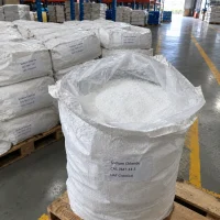 Sodium chloride CAS 7647-14-5 white granules in an open woven bag with PE liner in warehouse