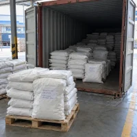 sodium-gluconate-cas-527-07-1-bags-container-loading Sodium gluconate CAS 527-07-1 in 25 kg bags on pallets loaded into a shipping container