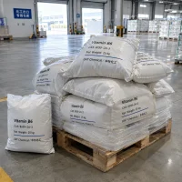 vitamin-b6-pyridoxine-cas-8059-24-3-25kg-woven-bags-pallet Vitamin B6 (Pyridoxine) CAS 8059-24-3 in 25 kg woven bags stacked on pallet